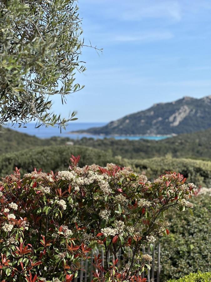 Tres Belle Bergerie Avec Piscine Chauffee A 1 Km De Santa Giulia Villa Porto-Vecchio  Luaran gambar